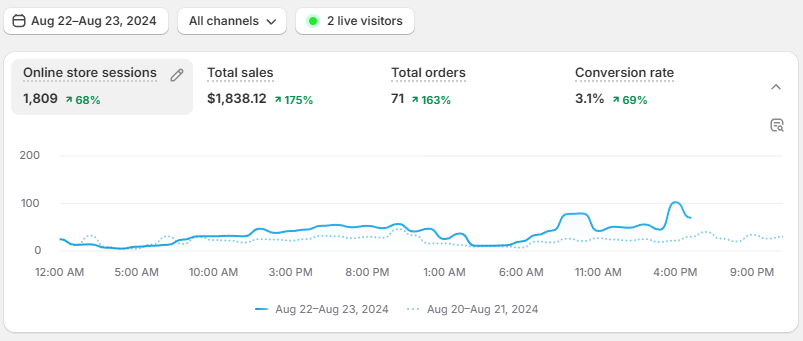 $50 Email Audit – 24 Hour Turnaround