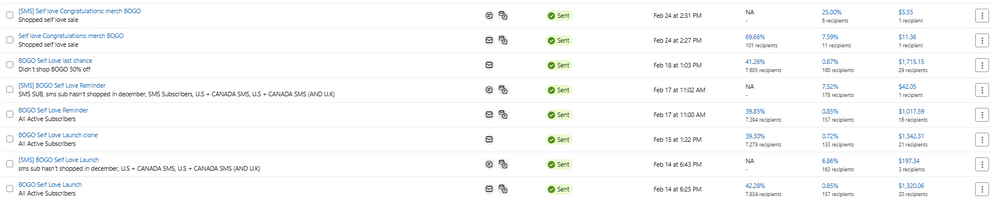 $50 Email Audit – 24 Hour Turnaround
